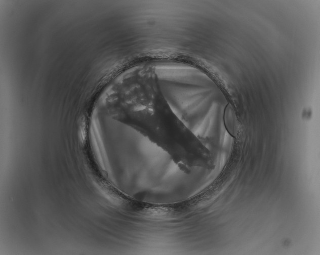 X0000097850069200803281258