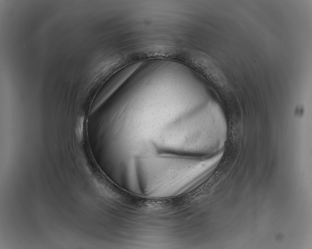 X0000097850070200803281258