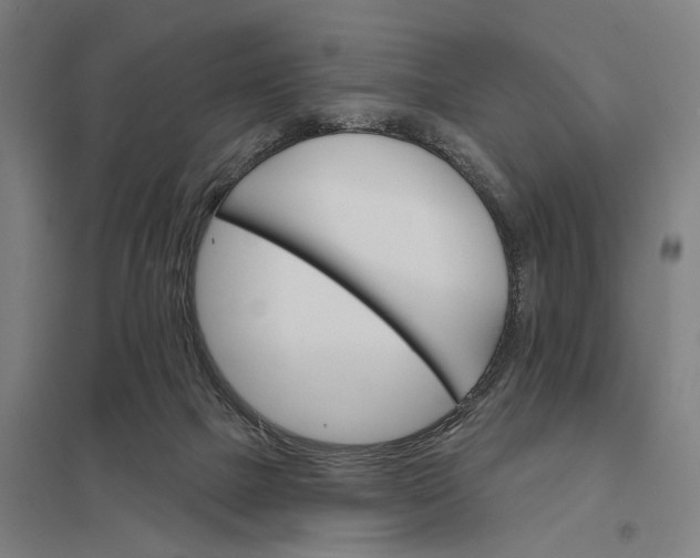 X0000097850073200803281258