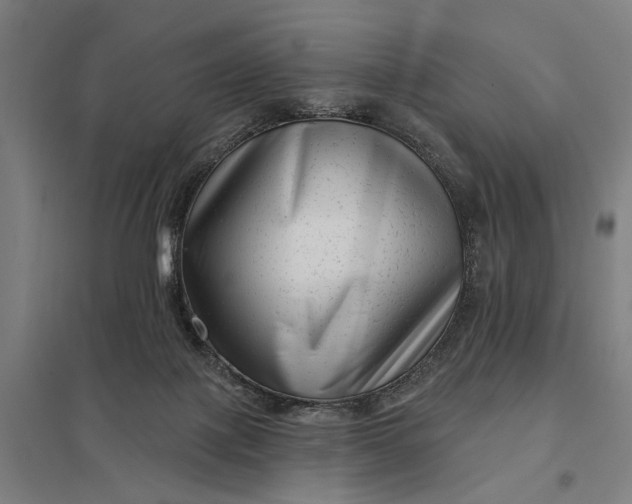 X0000097850075200803281258