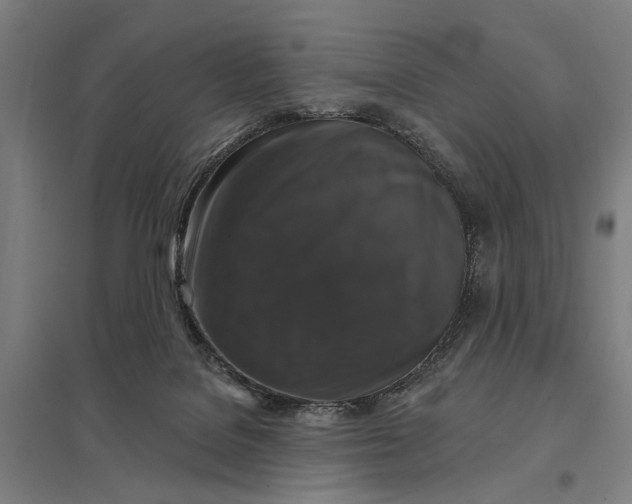 X0000097850076200803281258