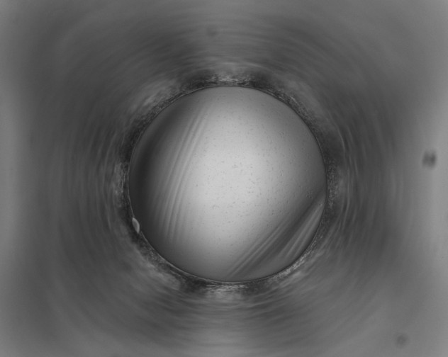 X0000097850078200803281258