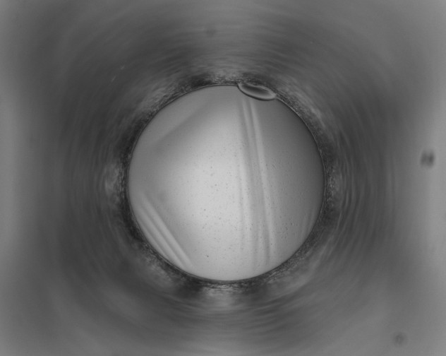 X0000097850079200803281259