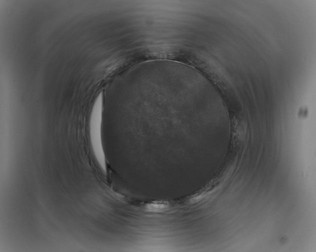 X0000097850080200803281259