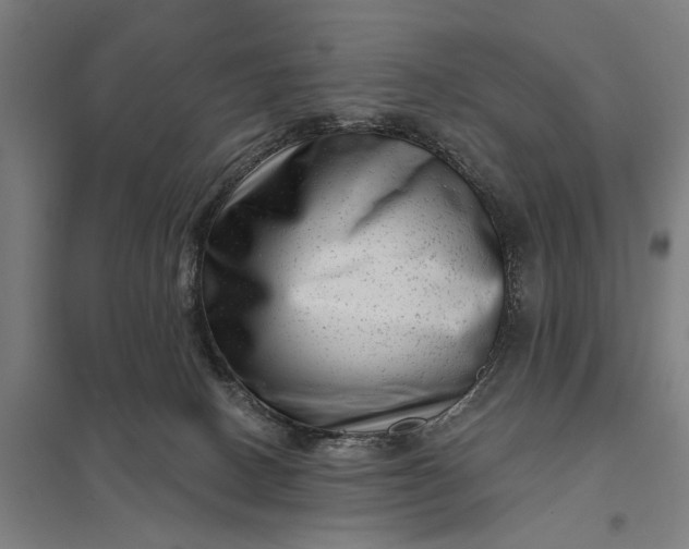 X0000097850082200803281259