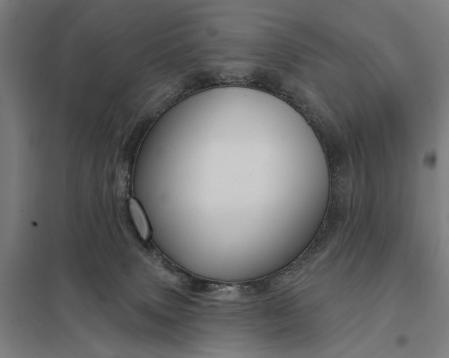 X0000097850083200803281259