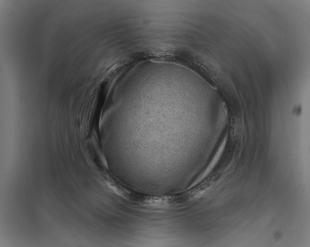 X0000097850084200803281259