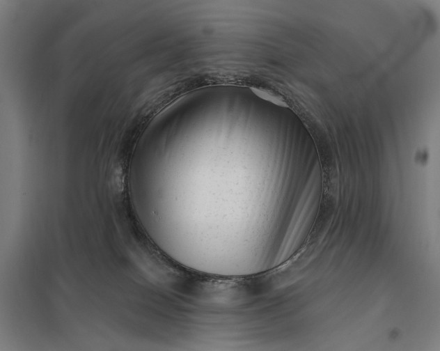 X0000097850086200803281259