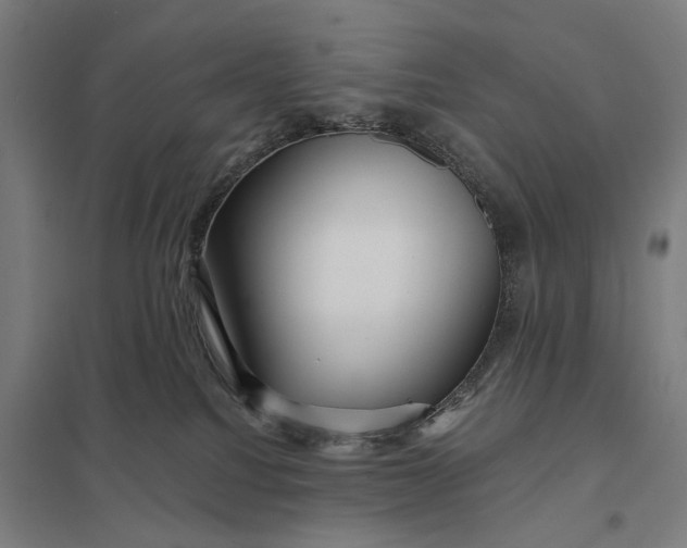 X0000097850088200803281259