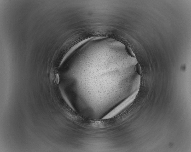 X0000097850091200803281259