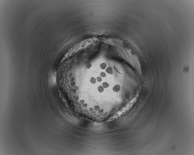 X0000097850095200803281259