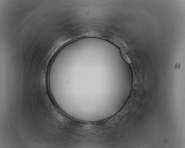 X0000097850098200803281258