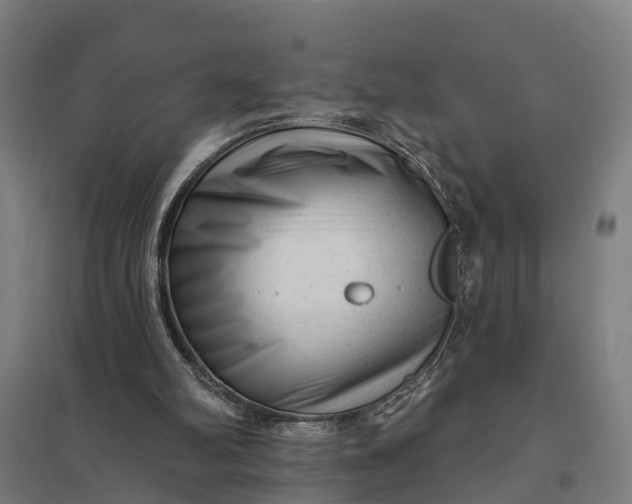 X0000097850102200803281258