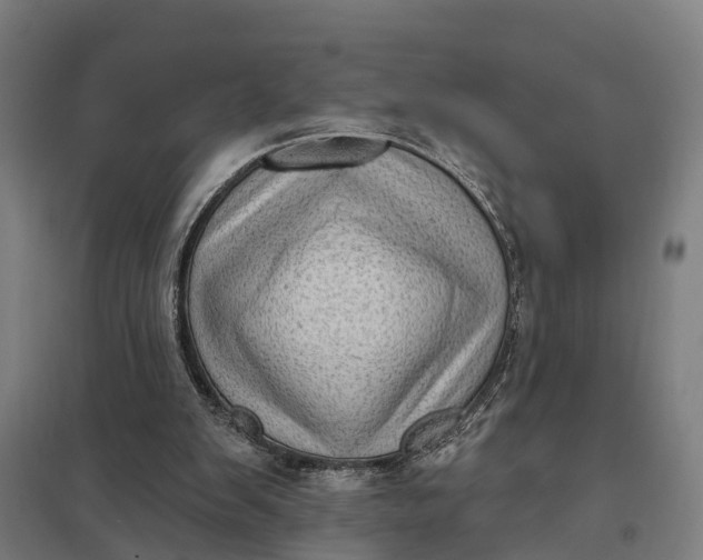 X0000097850103200803281258