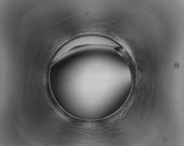 X0000097850105200803281258