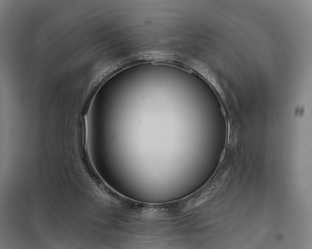 X0000097850109200803281258