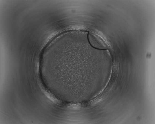 X0000097850110200803281258