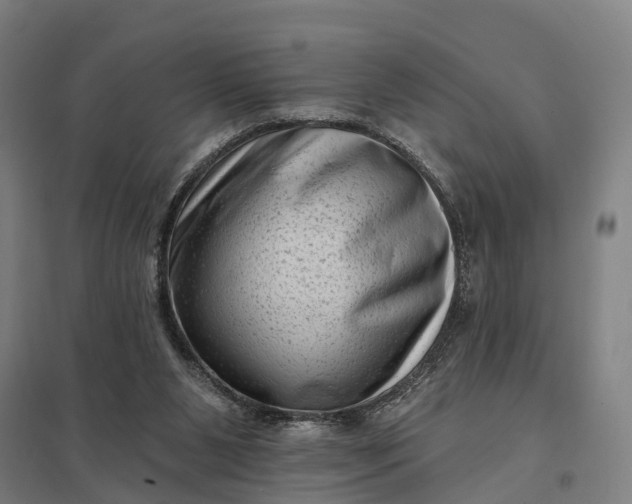 X0000097850111200803281258