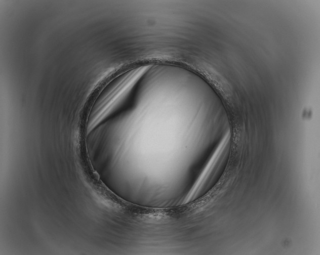 X0000097850112200803281258