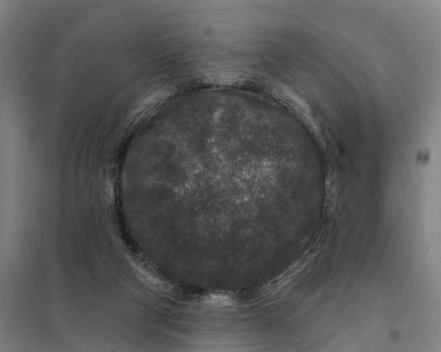 X0000097850114200803281258