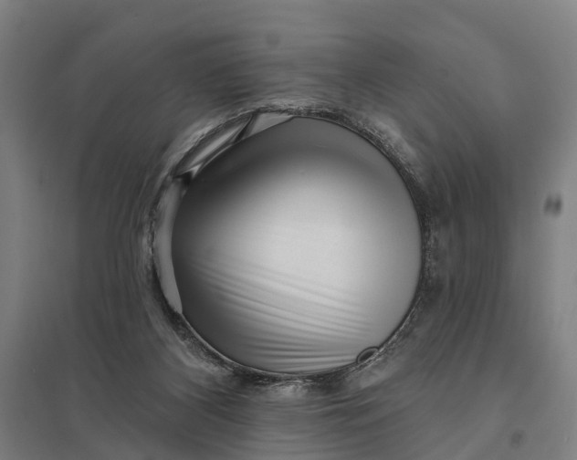 X0000097850116200803281258