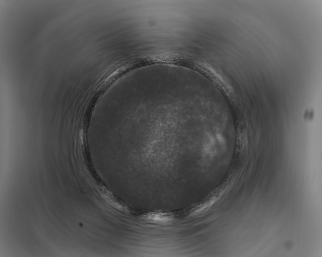 X0000097850117200803281258