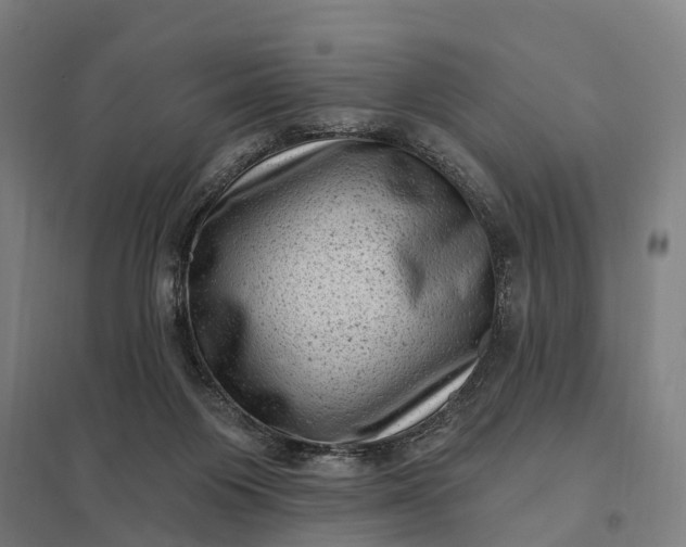 X0000097850119200803281258