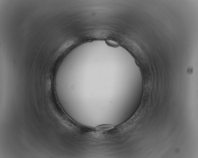 X0000097850120200803281258