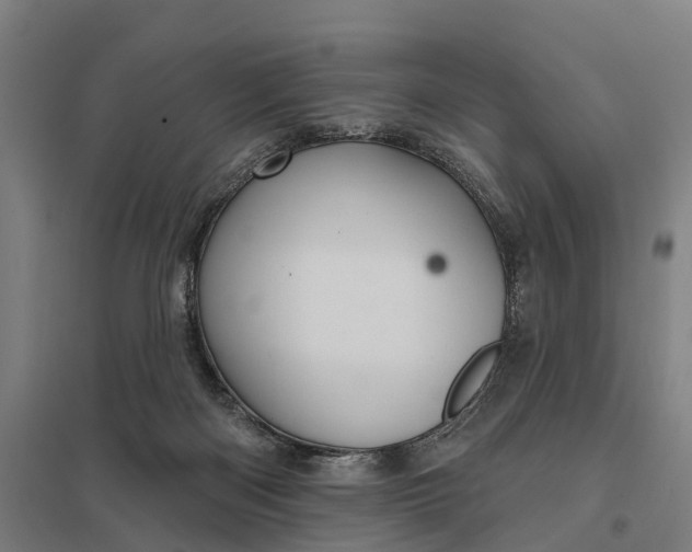 X0000097850122200803281258