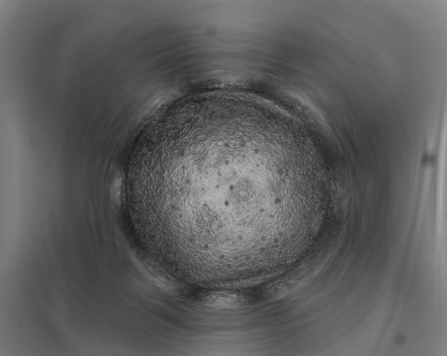 X0000097850123200803281258