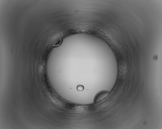 X0000097850126200803281258