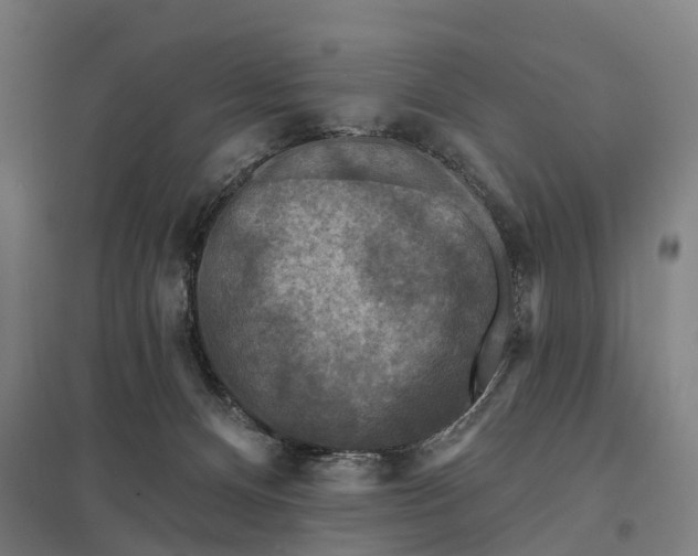 X0000097850128200803281258