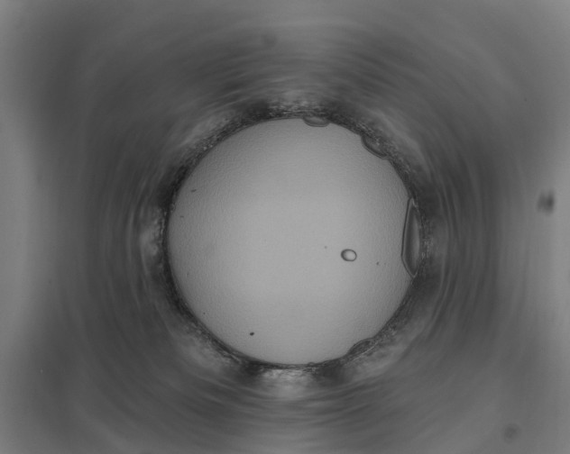 X0000097850133200803281258