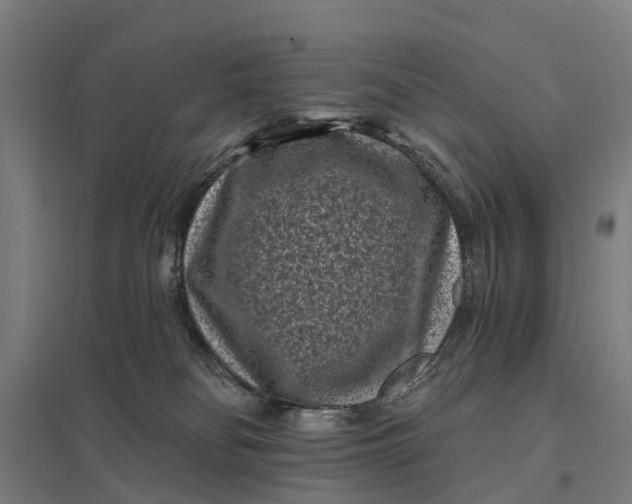 X0000097850134200803281258