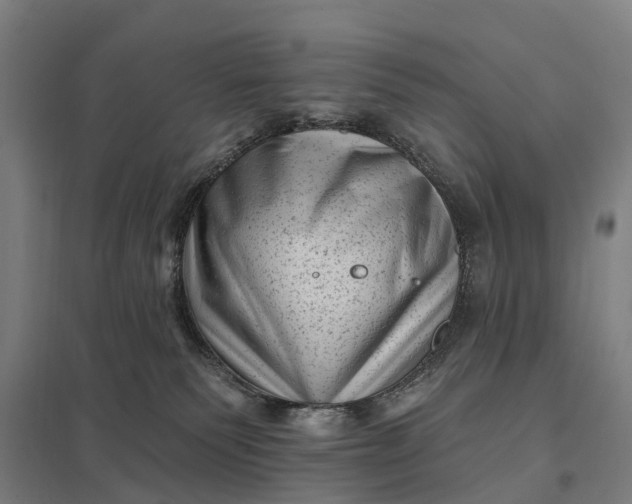 X0000097850135200803281258