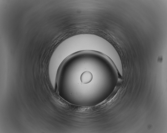 X0000097850136200803281258