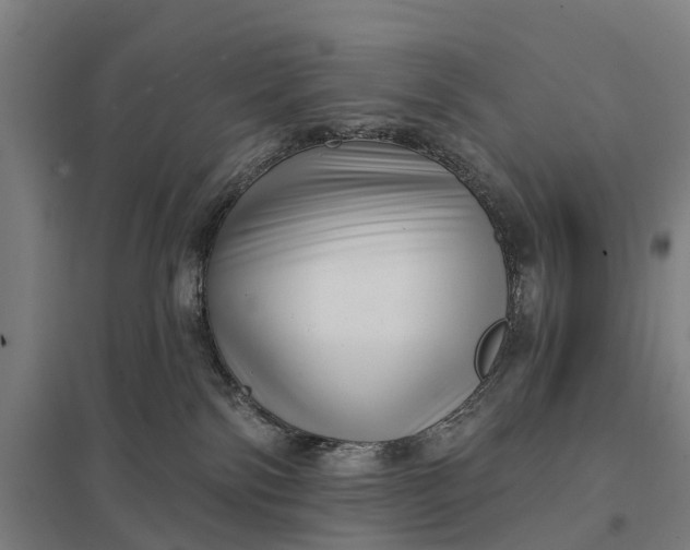 X0000097850138200803281258