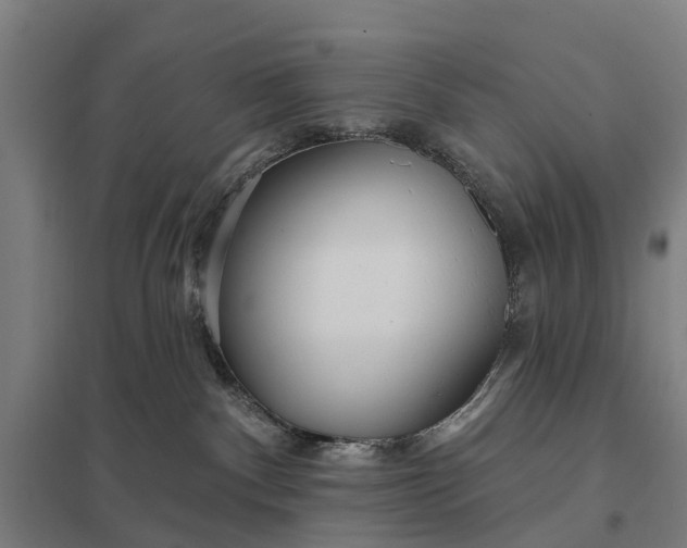 X0000097850140200803281257