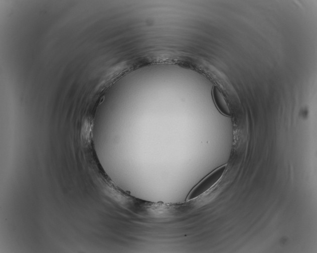 X0000097850142200803281257