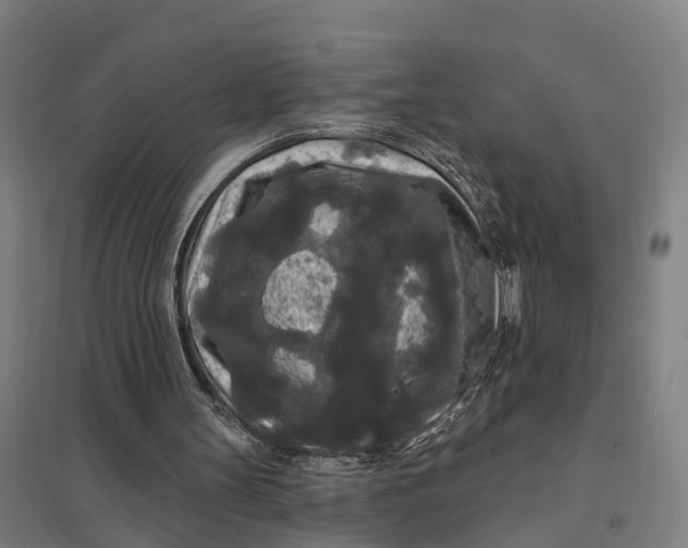 X0000097850147200803281257