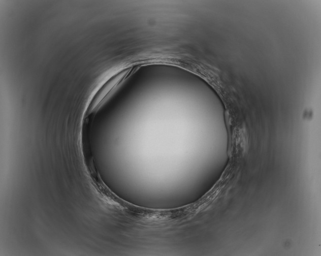 X0000097850148200803281257