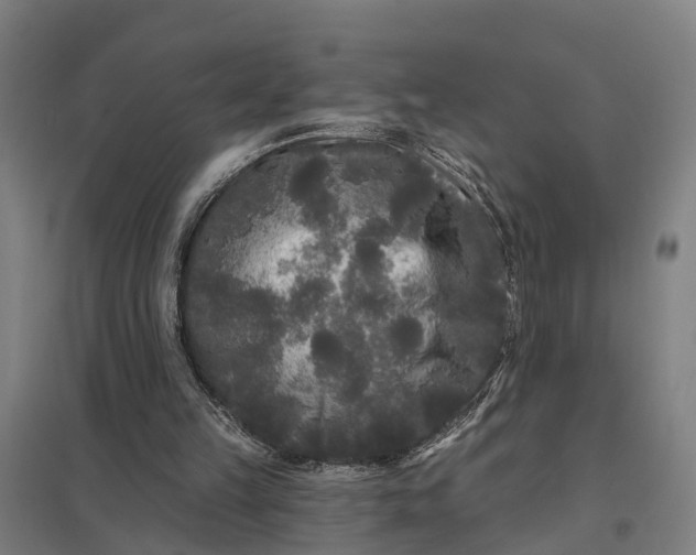 X0000097850149200803281257