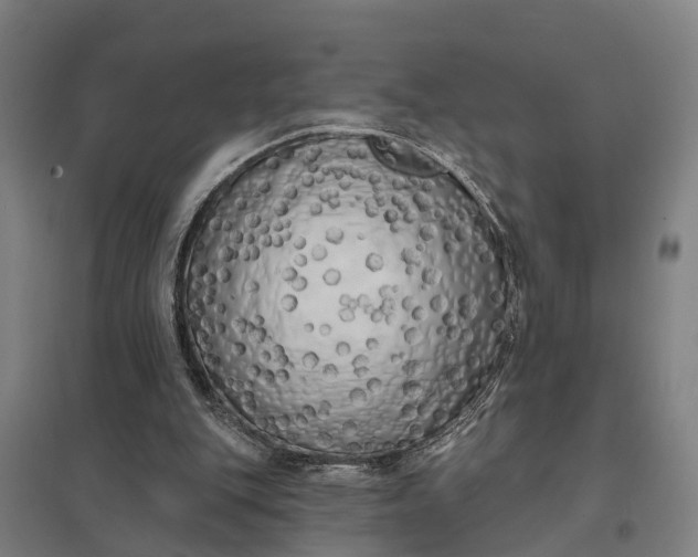 X0000097850151200803281257