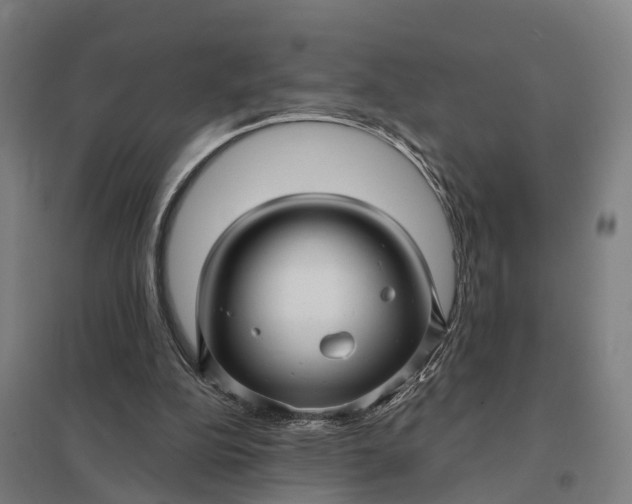 X0000097850152200803281257