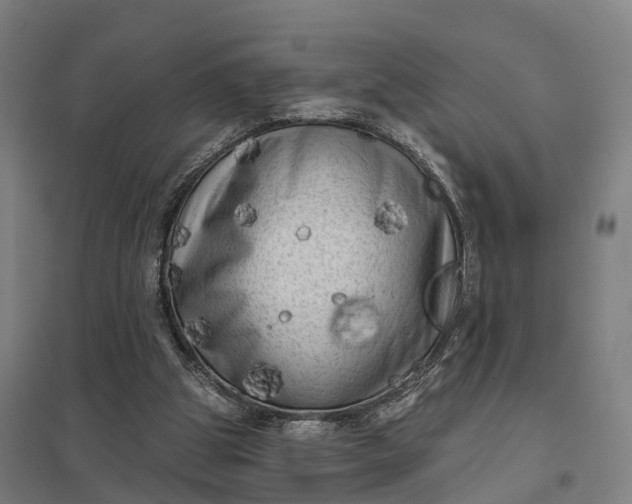 X0000097850153200803281257