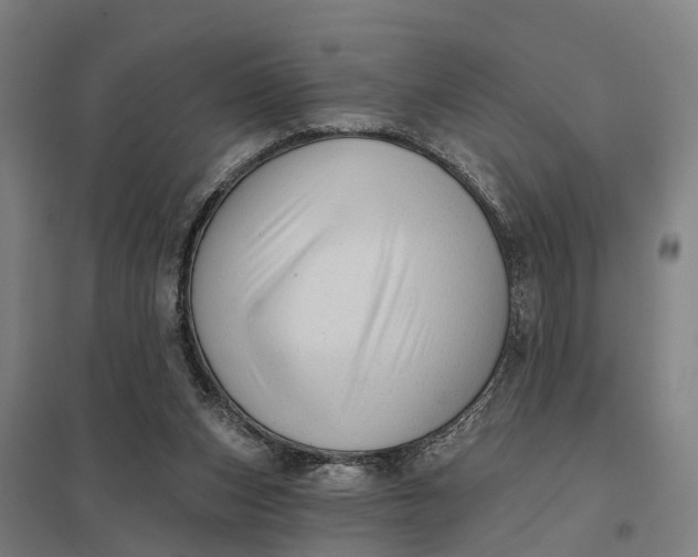 X0000097850159200803281257