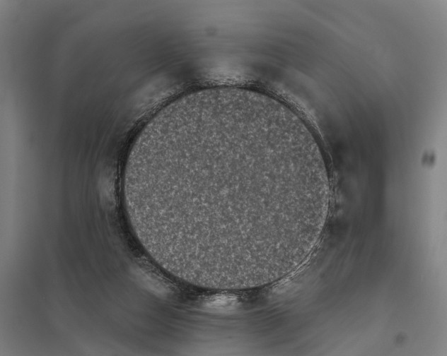 X0000097850162200803281257