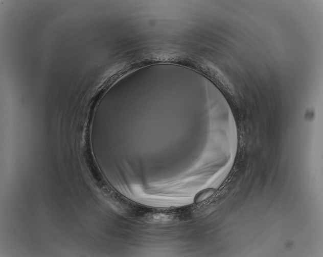 X0000097850163200803281257