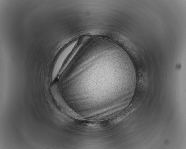 X0000097850164200803281257