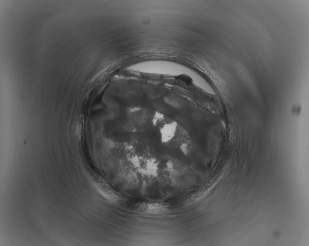 X0000097850165200803281257